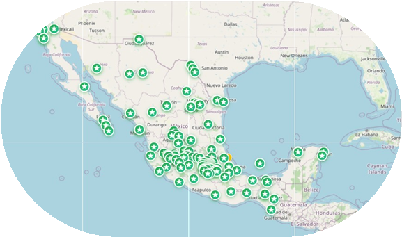Reportes de Seguridad